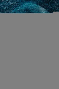 Открытое море. Смерть рядом